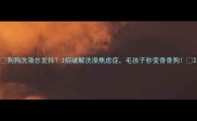 狗狗洗澡总发抖3招破解洗澡焦虑症毛孩子秒变香香狗