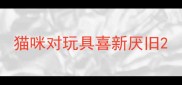 猫咪对玩具喜新厌旧