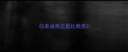 白泰迪贵还是比熊贵
