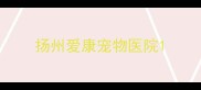 扬州爱康宠物医院