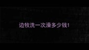 边牧洗一次澡多少钱