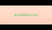 金毛全身剃毛多少钱