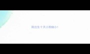 刚出生十天小狗细小