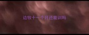 边牧十一个月还能训吗