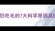 泰迪犬疯狂吃毛的7大科学原因及应对妙招