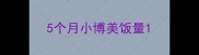 5个月小博美饭量
