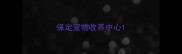 保定宠物收养中心