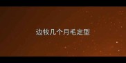 边牧几个月毛定型