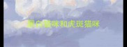 黑白猫咪和虎斑猫咪