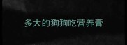 多大的狗狗吃营养膏