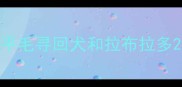 平毛寻回犬和拉布拉多