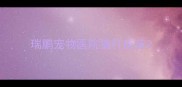 瑞鹏宠物医院猫打疫苗