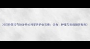20日龄黑拉布拉多幼犬科学养护全攻略饮食护理与疾病预防指南