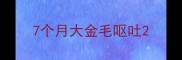 7个月大金毛呕吐