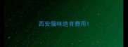 西安猫咪绝育费用