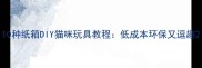 10种纸箱DIY猫咪玩具教程低成本环保又逗趣