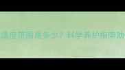 拉布拉多犬最佳睡觉温度范围是多少科学养护指南助你打造理想犬舍环境