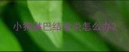 小狗淋巴结发炎怎么办
