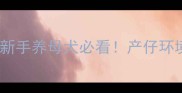 边牧产仔狗窝搭建全攻略新手养母犬必看产仔环境这样布置宝宝存活率翻倍