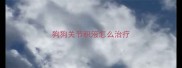狗狗关节积液怎么治疗