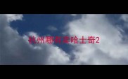 杭州哪有卖哈士奇