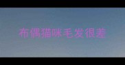 布偶猫咪毛发很差