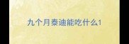 九个月泰迪能吃什么
