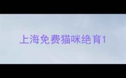 上海免费猫咪绝育