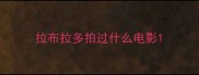 拉布拉多拍过什么电影