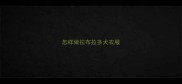 怎样做拉布拉多犬衣服