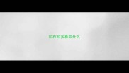 拉布拉多喜欢什么