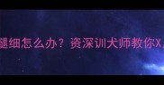 拉布拉多幼犬腿细怎么办资深训犬师教你X月大矫正指南