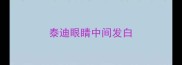 泰迪眼睛中间发白