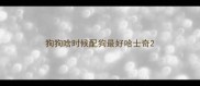 狗狗啥时候配狗最好哈士奇