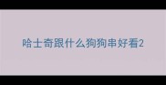 哈士奇跟什么狗狗串好看