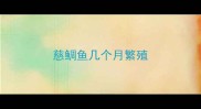慈鲷鱼几个月繁殖