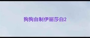狗狗自制伊丽莎白