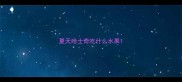 夏天哈士奇吃什么水果