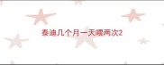 泰迪几个月一天喂两次