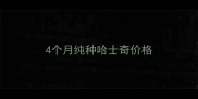 4个月纯种哈士奇价格