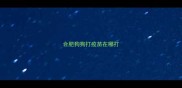 合肥狗狗打疫苗在哪打