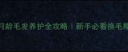 比熊犬不同月龄毛发养护全攻略新手必看换毛期护理指南