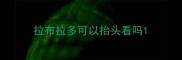 拉布拉多可以抬头看吗