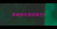 泰迪狗总是咬尾巴