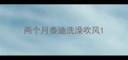 两个月泰迪洗澡吹风