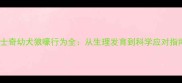 哈士奇幼犬狼嚎行为全从生理发育到科学应对指南