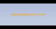 狗狗吃卵磷脂的功效与作用
