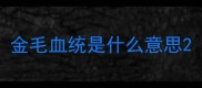 金毛血统是什么意思