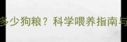 柴犬2个月吃多少狗粮科学喂养指南与营养需求全