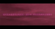 幼犬狂犬疫苗可以和拜耳一起打吗附安全指南和注意事项